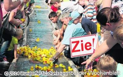 Fast 600 Enten 