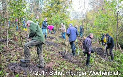 Bad Nenndorfer Rotarier pflanzen als symbolisches Zeichen 50 Bäume