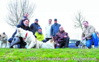 Hier können Hunde auch während des Leinenzwangs frei herum flitzen