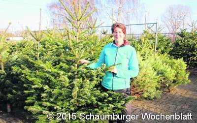 Brändel spendet Weihnachtsbaum