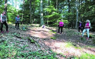 Landfrauen tauchen in Atmosphäre des Waldes ein