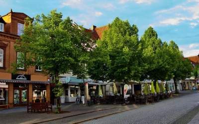 Erste Kaiserlinden werden im Herbst fallen