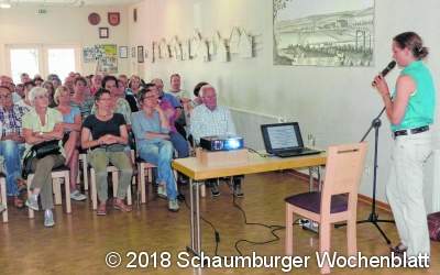 Bienen schwirren im Bürgerhaus umher