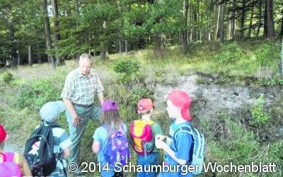 Spannende Erkundungstour im Wald