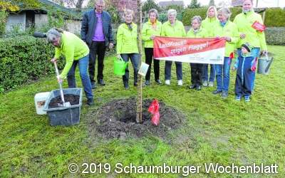 Die Landfrauen wollen in jedem Ort einen Baum pflanzen