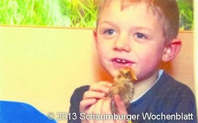 Wenn aus Eiern flauschige Küken werden