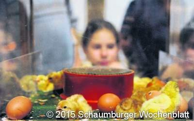 Aus dem Ei gepellt