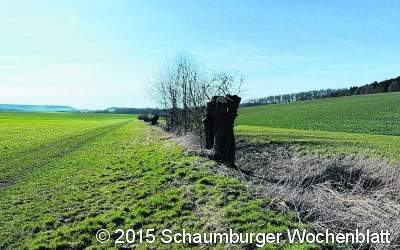 Naturschutz praktizieren