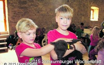 Lämmer sind der Renner