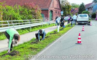 Im Frühjahr sollen auch Tulpen blühen