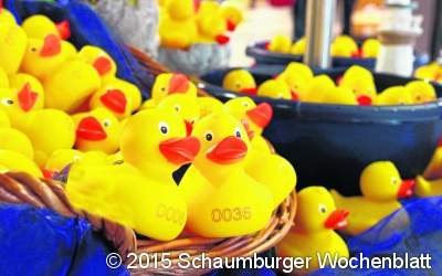 Enten für das Rennen sichern