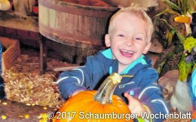 Schaurig schöne Fratzen