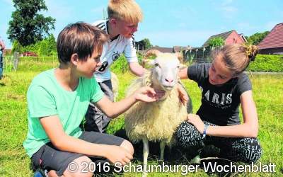 Tolles Naturerlebnis auf dem Schulbauernhof