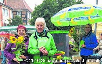 Sonnenblumen und Honig von den Grünen
