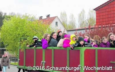 Trampolin für Grundschule