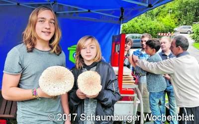 Wolle aus Meerschweinchenfell gesponnen