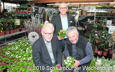 Blumige Frühlingsgrüße warten auf die Kunden