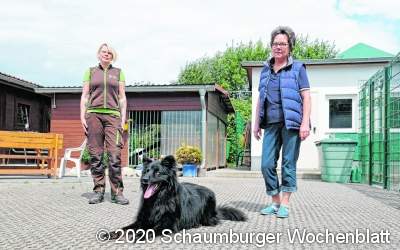 Die Tierheime müssen es ausbaden