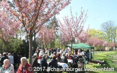 Den Frühling unterm Blütendach genießen