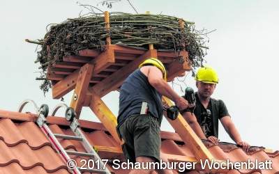 Ein Storchennest auf dem Rittergut