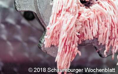 Um die Ecke geschaut – Sandra Walschek