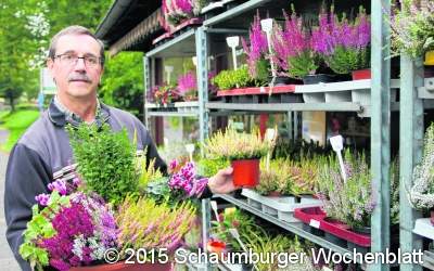 Liebevoll gestaltete Gräber zur Erinnerung