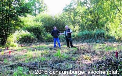Ein Teich für Molche und Jungfern Am Norderteich wird ein neues Kleingewässer angelegt