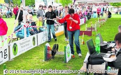Deutsche Riesen und Widder erfreuen die Kaninchen-Fans