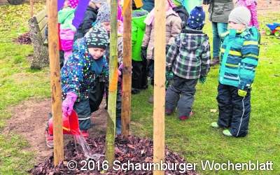 Wo das Bastelmaterial am Baum wächst