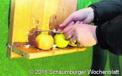 Wilhelm Tell und Wäsche waschen