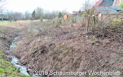 Der Kahlschlag führt bei Anwohnern zu heftiger Kritik