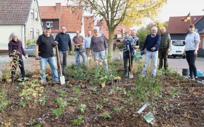 Hortensien und Maigrün statt Wildwuchs
