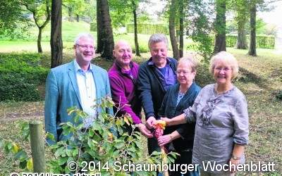 Zaubernuss – Strauch mit Symbolcharakter