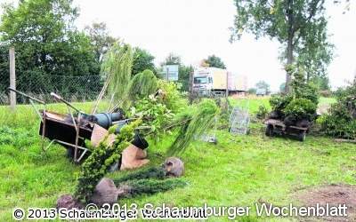 Unbekannte stehlen rund 100 Pflanzen