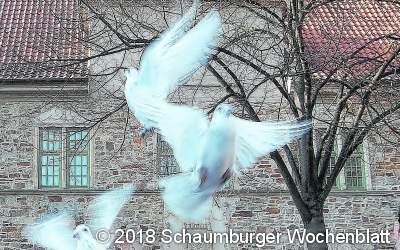 Was hält die Menschen in der Kirche und was veranlasst sie dann zum Austritt