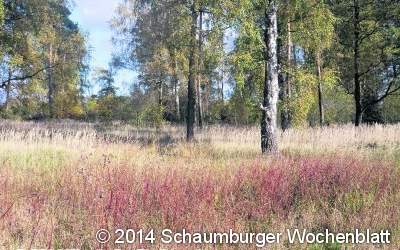 550 Flächen sind neu geschützt