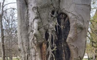 Expedition in den Kurpark