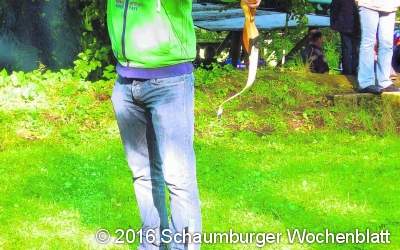 Robin Hood und Pokal