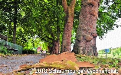 Die Haut wird zu eng und platzt weg