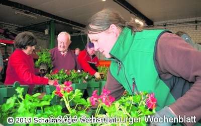 Weihrauch und Geranien schmücken die Innenstadt