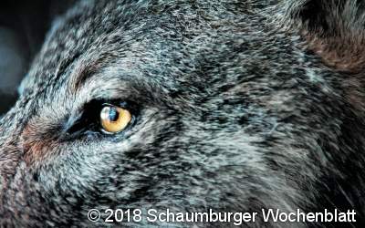 Ausstellung lädt zur 