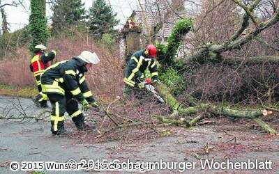 Alte Linde in der Mitte abgeknickt