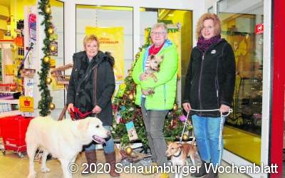Preisverleihung für tierische Models
