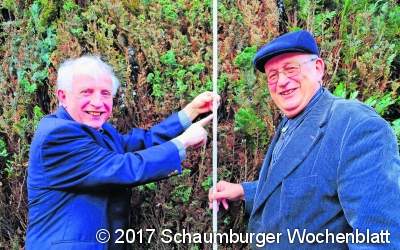 Schiedsperson zum Schlichten gesucht