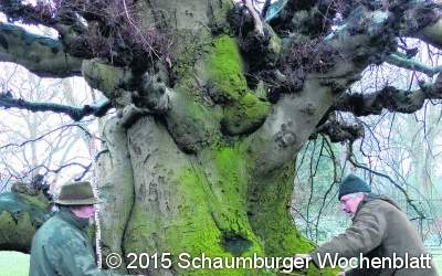 Rekordversuch beim Lauenauer Heimatverein