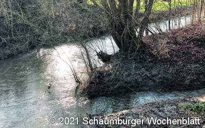 Hochwasscherschutz funktioniert