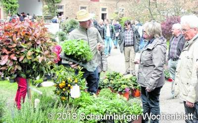 Besonderes in Hülle und Fülle