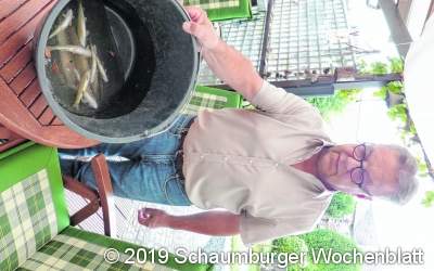 Löschwasser löst großes Fischsterben in Pohle aus