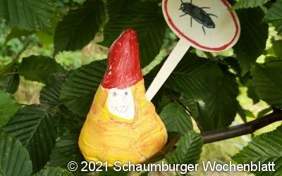 Zu Besuch bei Dr. Wald