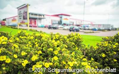 Lichter statt dichter